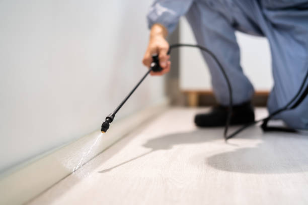 Best Wasp Removal Services  in Port Barrington, IL