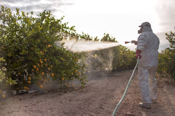 Best Wildlife Control Services  in Port Barrington, IL