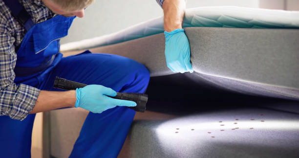 Best Emergency Pest Control  in Port Barrington, IL