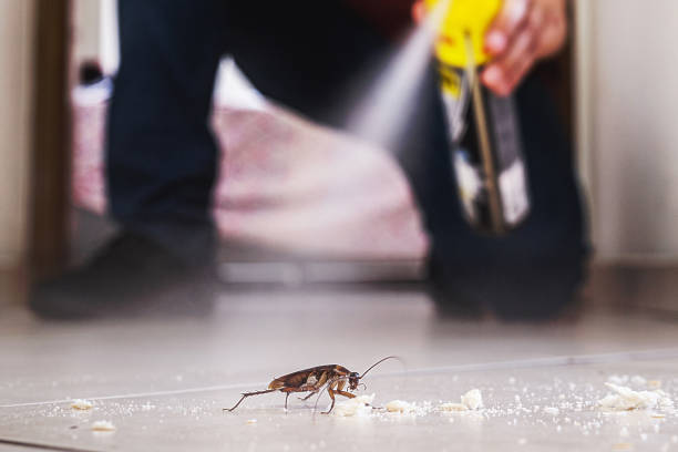 Best Residential Pest Control  in Port Barrington, IL