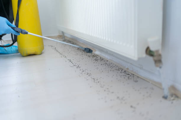 Best Pest Removal Services  in Port Barrington, IL